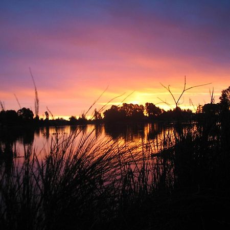 Beechworth Lake Sambell Caravan Park Eksteriør billede