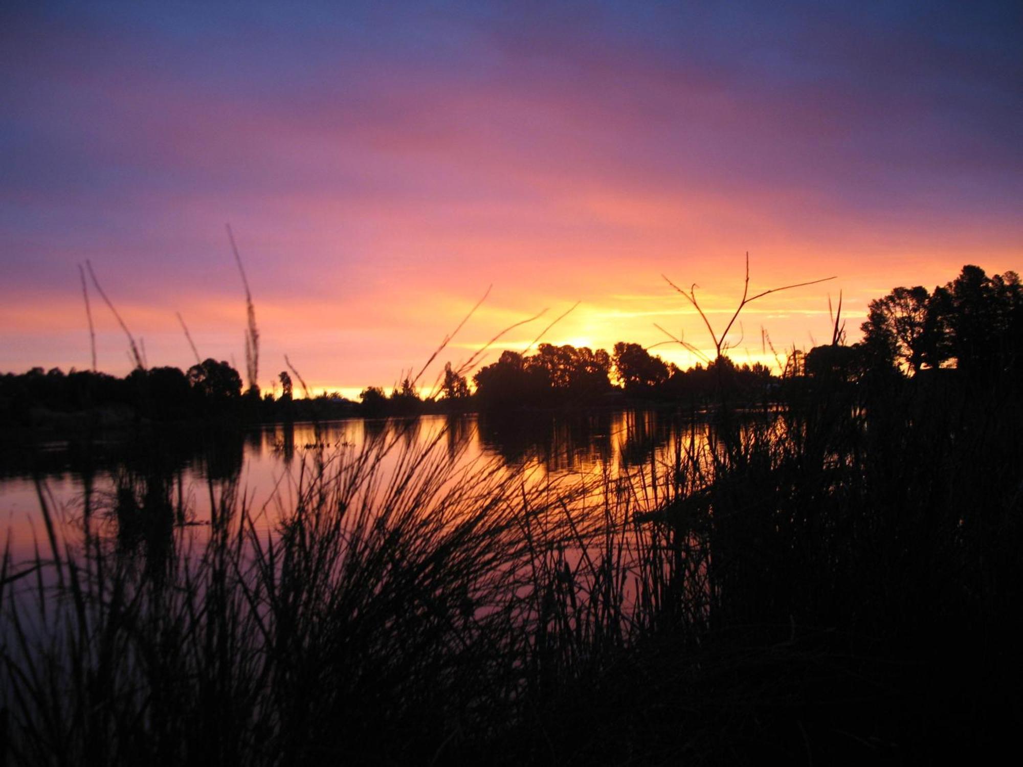 Beechworth Lake Sambell Caravan Park Eksteriør billede